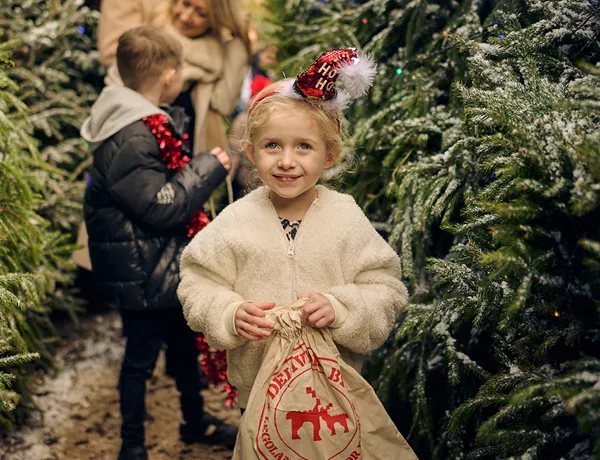 Girl In Trees LEGOLAND At Christmas Crop